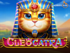 Ücretsiz slot oyunları13